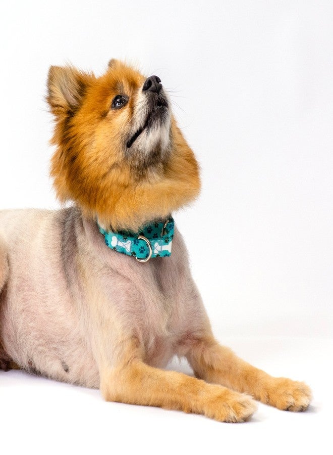 كانتري بروك ديزاين طوق ومقود مارتينجال للكلاب من كانتري بروك بيتز - أوه ماي دوغ - مجموعة حياة الكلاب بتصاميم مرحة (1 بوصة، متوسط) - Image 4